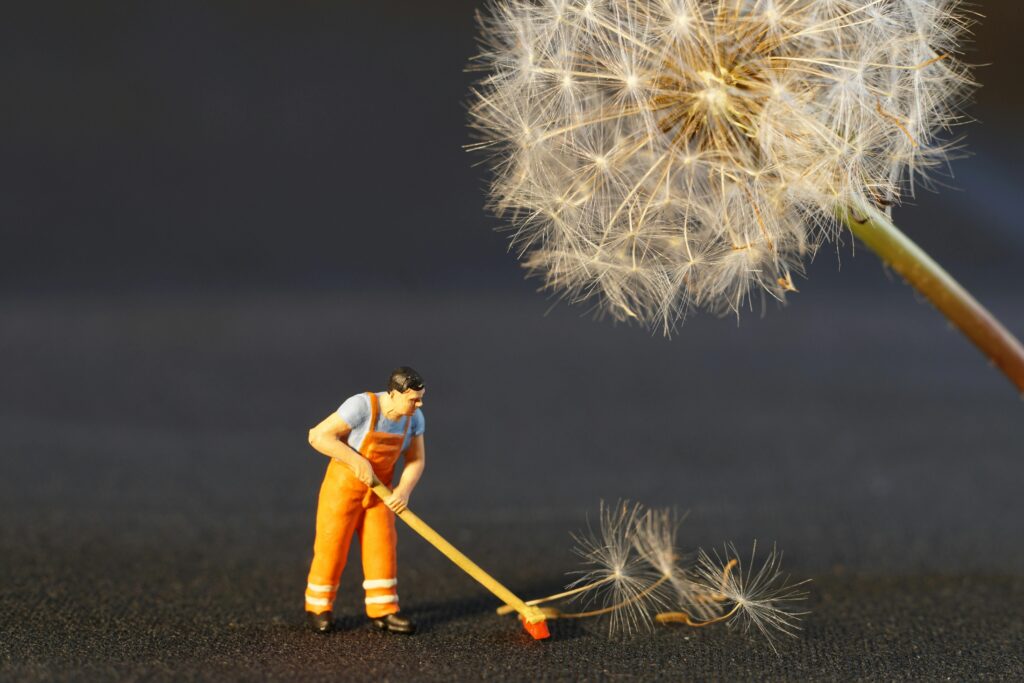 cleaning myths